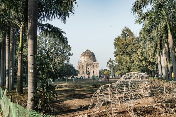 Comment planifier une expédition pour observer les baleines à bosse en Islande?