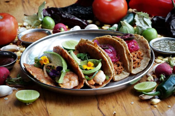 Où participer à des ateliers de cuisine mexicaine à Oaxaca?
